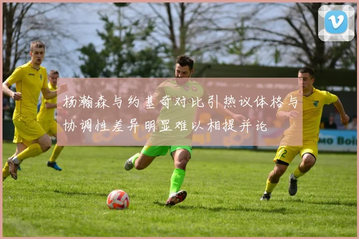 杨瀚森与约基奇对比引热议体格与协调性差异明显难以相提并论