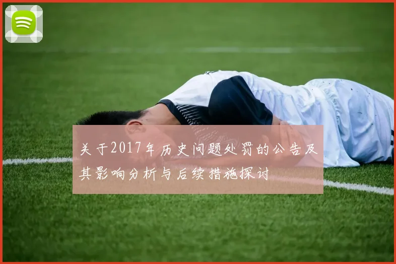 关于2017年历史问题处罚的公告及其影响分析与后续措施探讨