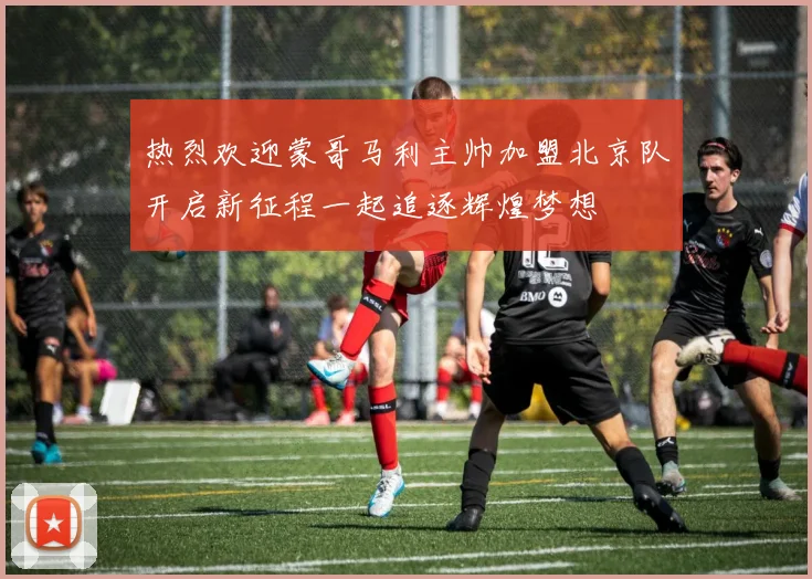 热烈欢迎蒙哥马利主帅加盟北京队开启新征程一起追逐辉煌梦想