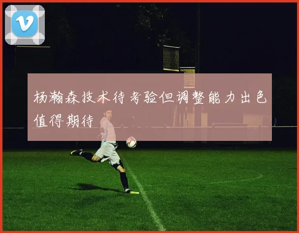 杨瀚森技术待考验但调整能力出色值得期待