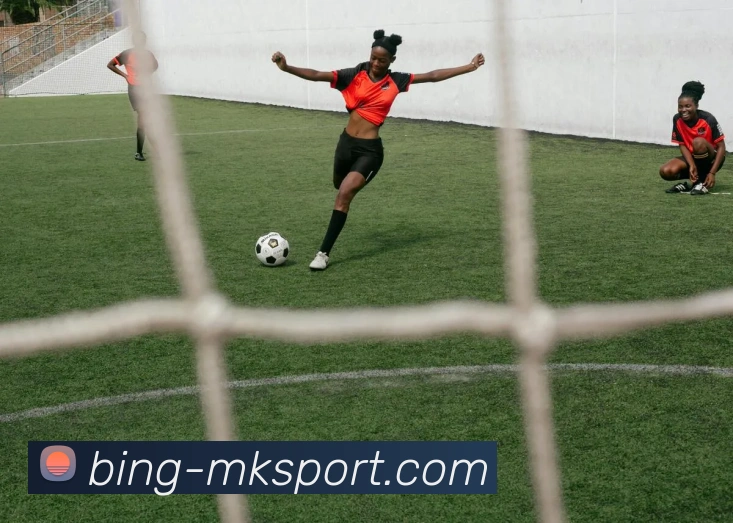 MK体育发展历程